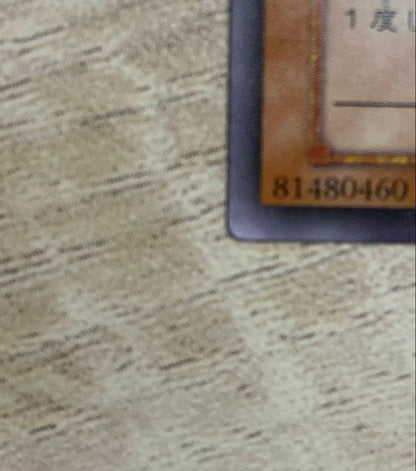 Vintage Yu-Gi-Oh Revolvedragon relief card in retro style stored in a filing system