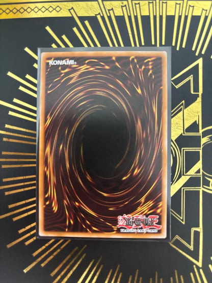Yugioh Blue-Eyes White Dragon Relief English version card with a slightly bluish tint, front card shown