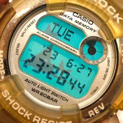 Casio G-Shock WCCS 90s DW-9600WC Diver's Limited Edition Watch with Box — Japan Import