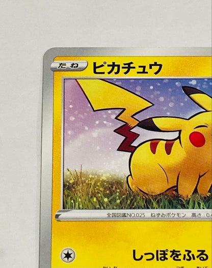 Bandai Pikachu Gym Promo 024/S-P collectible card front view in protective sleeve