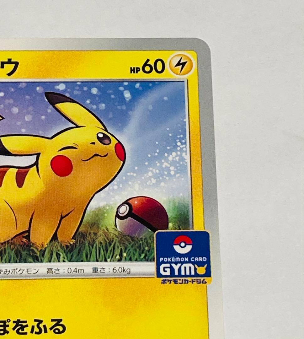 Bandai Pikachu Gym Promo 024/S-P collectible card front view in protective sleeve