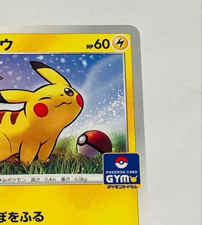 Bandai Pikachu Gym Promo 024/S-P collectible card front view in protective sleeve