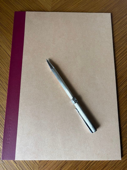 Aurora Silver Ballpoint Pen Knock-Style