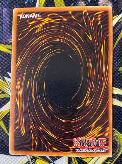 Bandai Yu-Gi-Oh Red-Eyes Black Dragon Ultra 1st Edition North America English trading card with minor back scratches