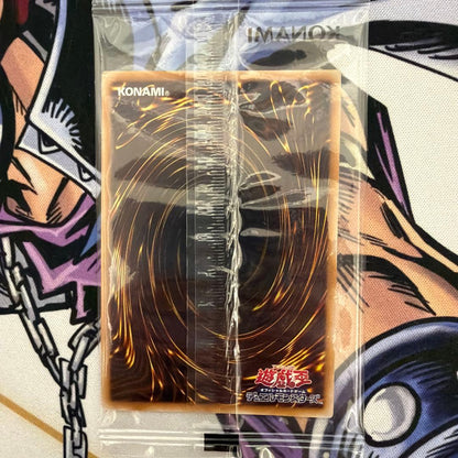 Sealed Yugioh YCSJ2025 Yugio and Kaiba tokens from Japan Import showing official event packaging