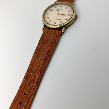 Casio Classic Design Analog Watch Model CASIO STING with Vintage Style Hands and Indices