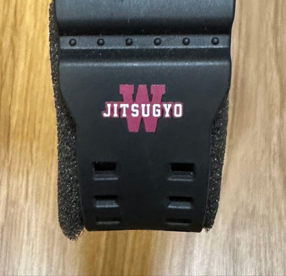 Casio G-Shock GA-110 Waseda University Graduation Commemorative Watch — Japan Import