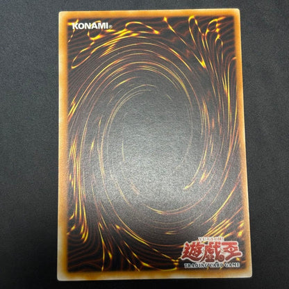 Yu-Gi-Oh! Moon Warrior of the Moon Old Asia Edition Relief card from Japan import with detailed artwork
