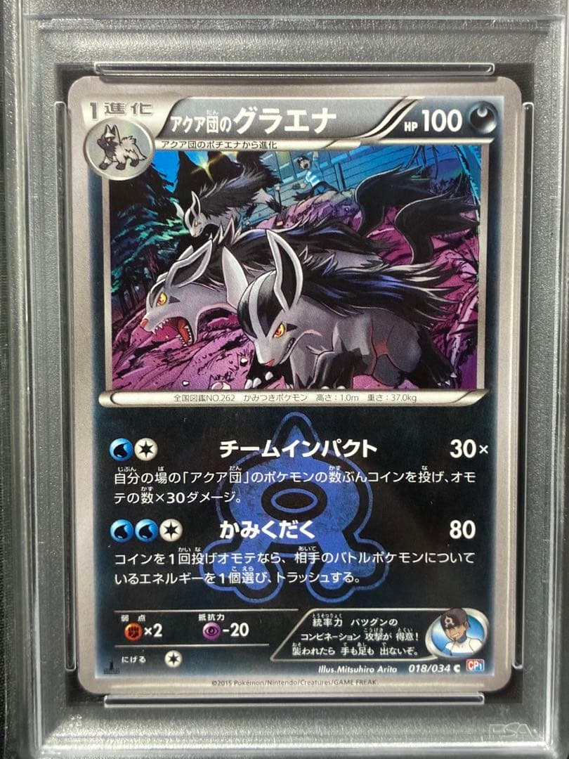 Pokemon PSA10 Gyarados Aquaman 2015 018 9 graded card Japan import with water protection