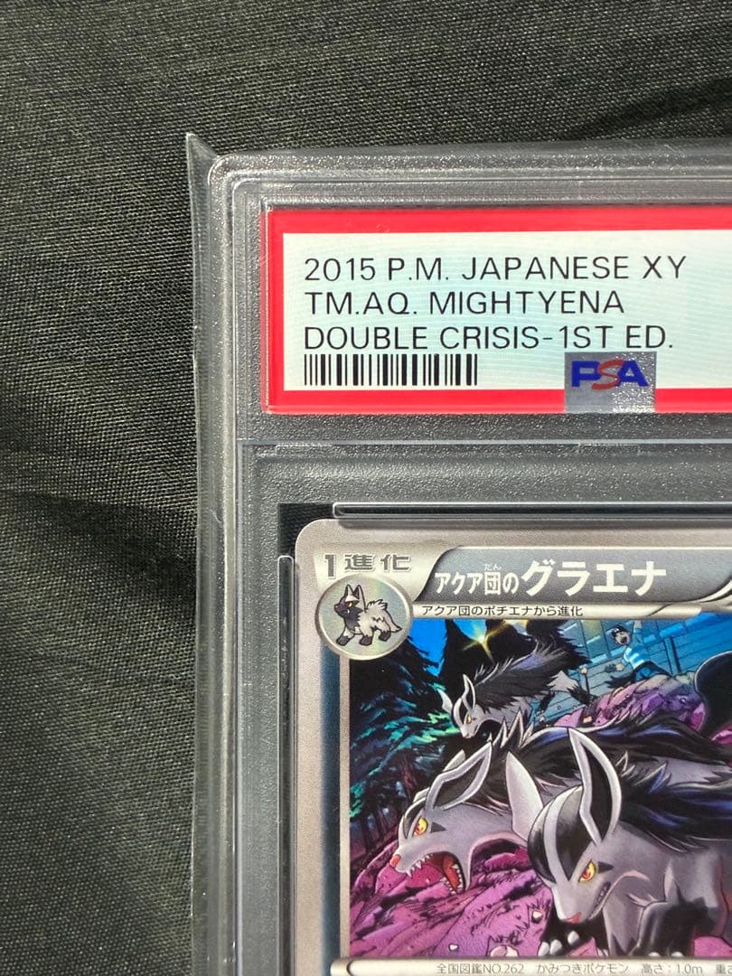 Pokemon PSA10 Gyarados Aquaman 2015 018 9 graded card Japan import with water protection