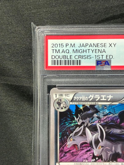 Pokemon PSA10 Gyarados Aquaman 2015 018 9 graded card Japan import with water protection