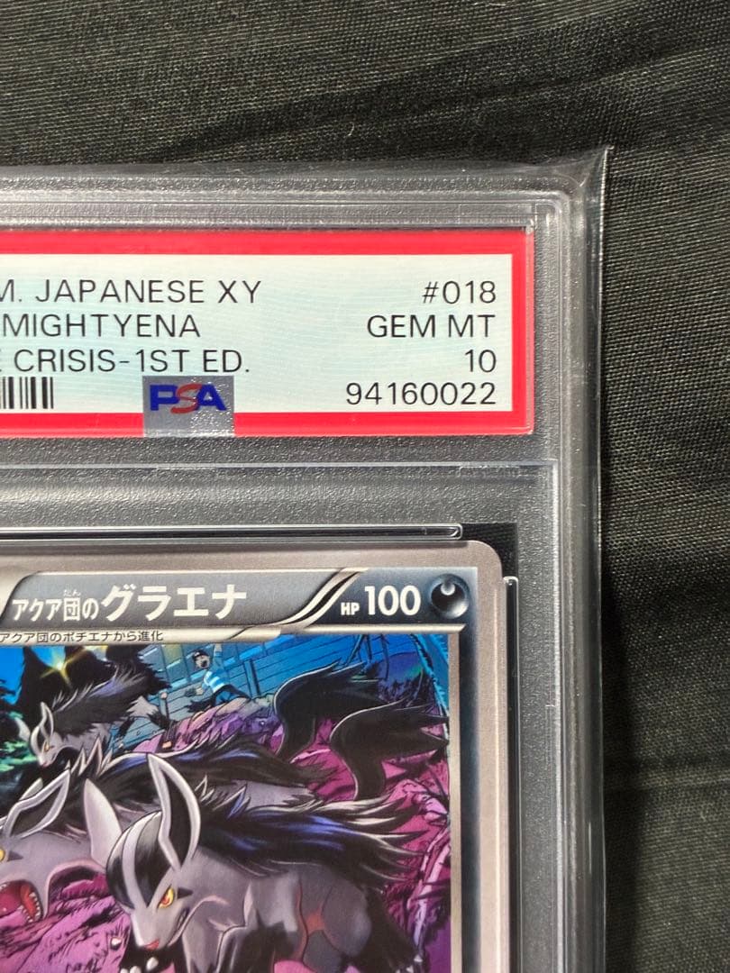 Pokemon PSA10 Gyarados Aquaman 2015 018 9 graded card Japan import with water protection