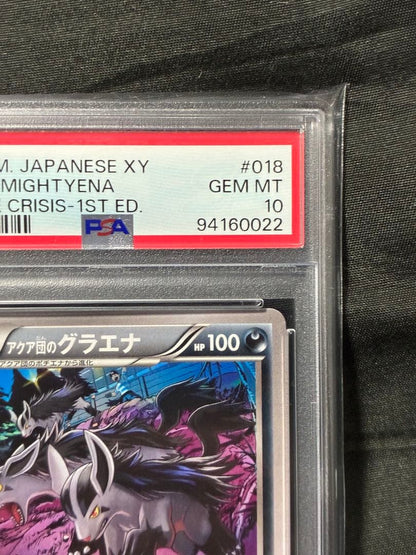 Pokemon PSA10 Gyarados Aquaman 2015 018 9 graded card Japan import with water protection