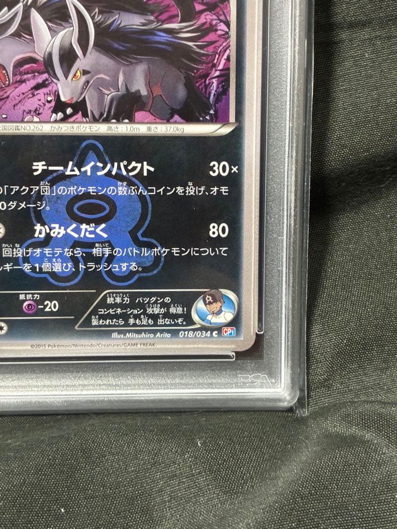 Pokemon PSA10 Gyarados Aquaman 2015 018 9 graded card Japan import with water protection