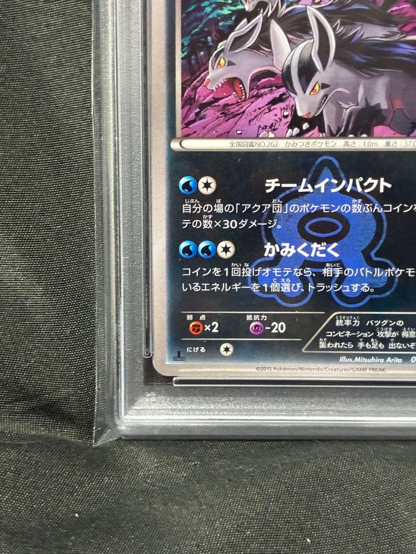 Pokemon PSA10 Gyarados Aquaman 2015 018 9 graded card Japan import with water protection