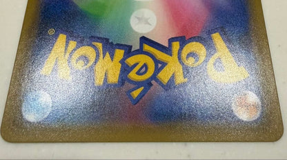 Bandai Shiny Rayquaza & Charizard GX secret rare SA collectible trading card Japan import