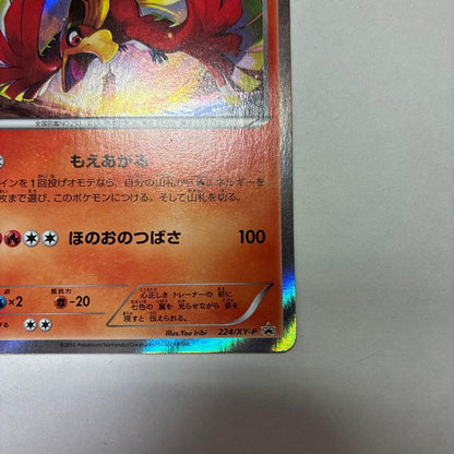 Brandogame Hōō Special Set with Hōō and Lugia promo cards from the XY Series