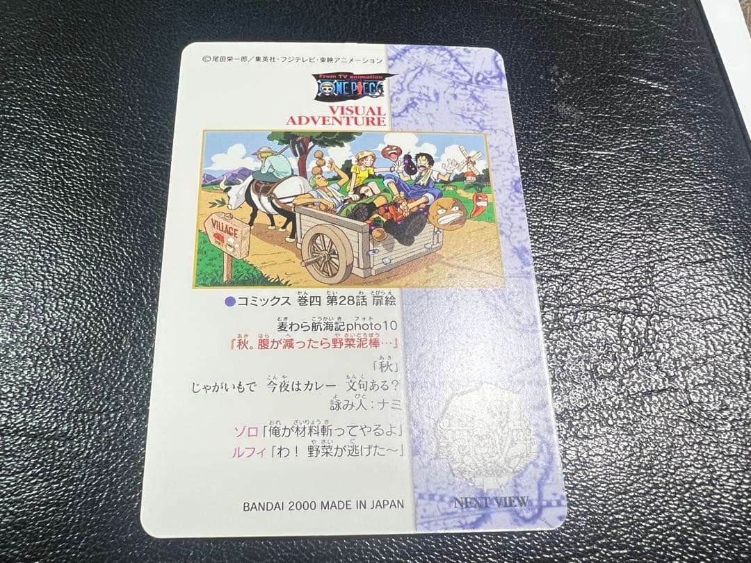 One Piece Visual Adventure Carddas 10 featuring Luffy and Zoro Japanese trading card by Bandai