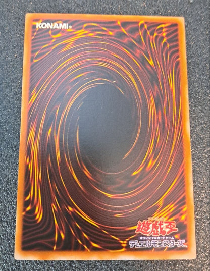 Yugioh Official Card Game Red-Eyes Black Dragon single card from 2001 Structure Deck Joey Edition JY-01