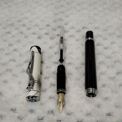 Brand Unknown metal fountain pen featuring black and white two-tone Teton design