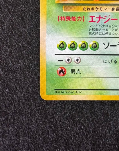 Nintendo Fushigibana Lv.67 Rare Pokemon card from first edition expansion pack, Japan import, showing front of card