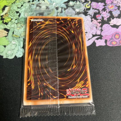 Bandai Yu-Gi-Oh! Black Magician Secret English trading card imported from Japan