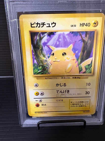 Pokemon Card Pikachu 1st Edition PSA6 graded with no mark and old back in protective case with minor scratches