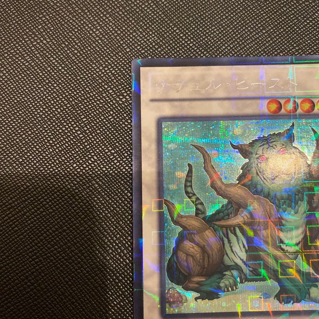 Yugioh Naturia Beast DTC Secret Rare Japanese monster card from Japan import edition