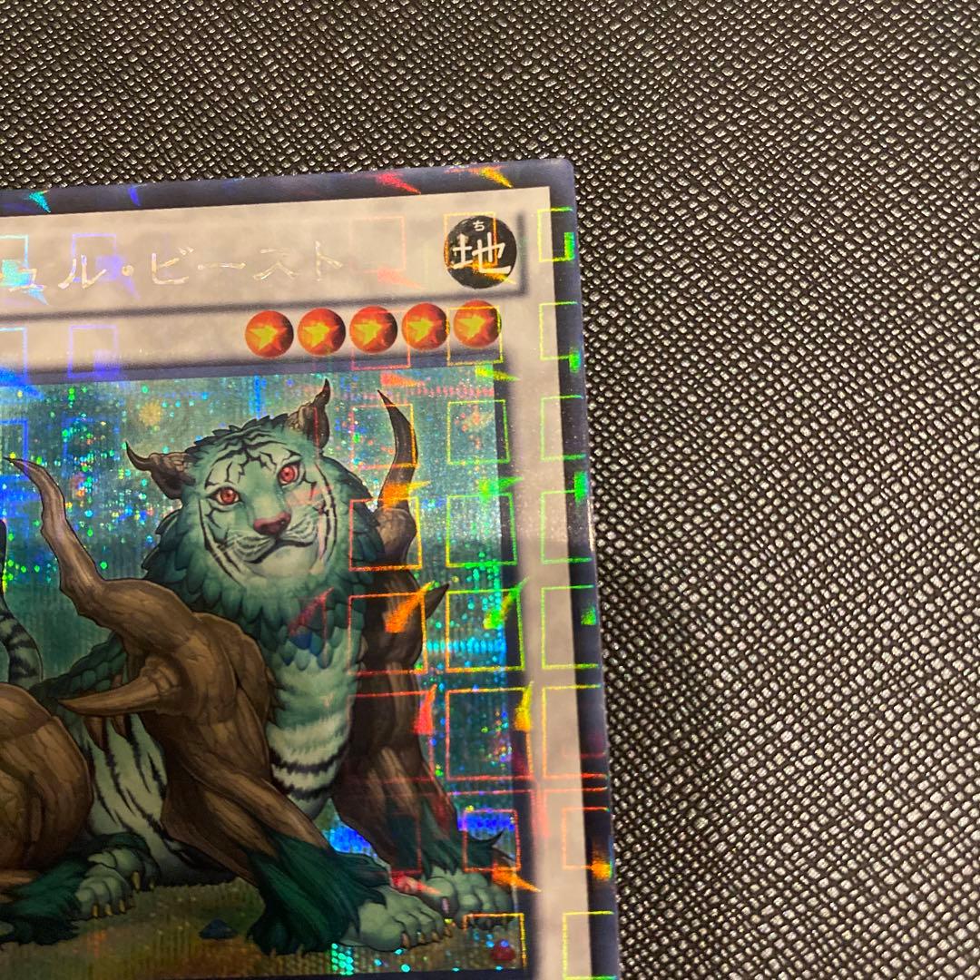 Yugioh Naturia Beast DTC Secret Rare Japanese monster card from Japan import edition