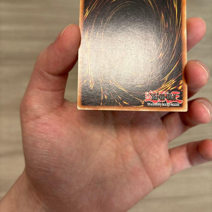 Yugioh Black Rose Dragon Ghost Rare holographic trading card English Secret 20th LR series Japan import