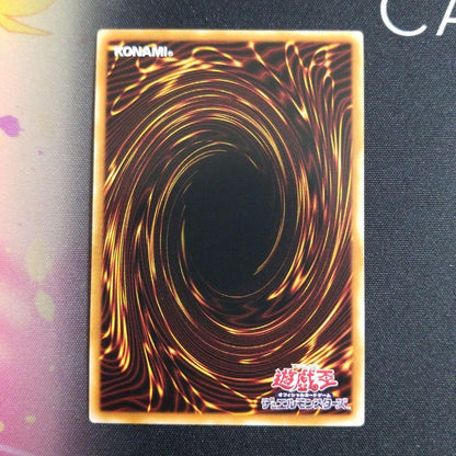 Yu-Gi-Oh Caique Tsukaius Asia Secret Rare IGAS-JP048 20th Edition trading card from Japan