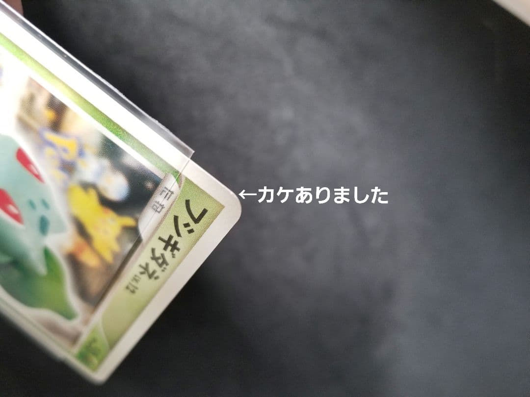 Yuka Morii Fushigibana 2009 Pokemon Center 10th Anniversary Promo DPt-P card 030/051 in protective case