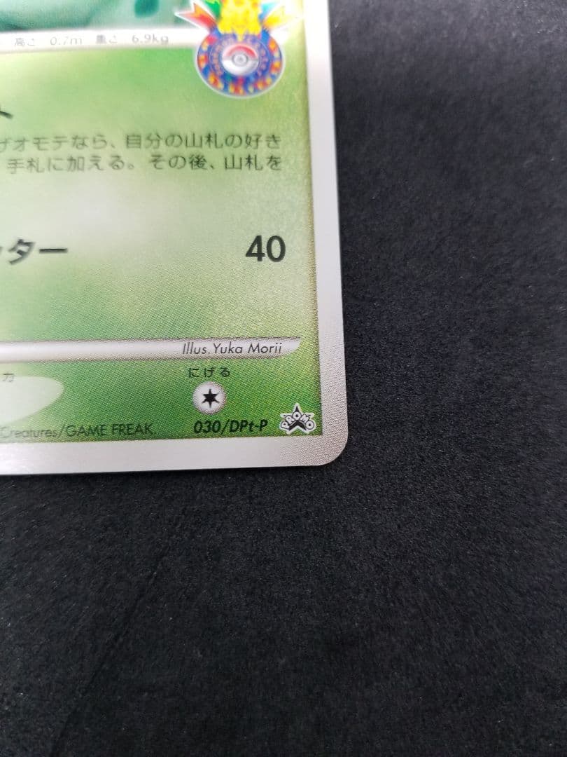 Yuka Morii Fushigibana 2009 Pokemon Center 10th Anniversary Promo DPt-P card 030/051 in protective case