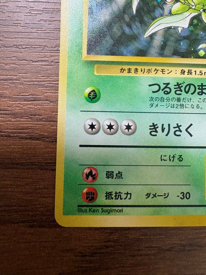 Bandai Pokemon Jungle Expansion Pack Second Set single card from Japan, used and sealed condition