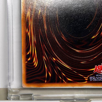 Great Moss DM2 Initial Secret card by Cycle Collection – Japanese collectible card stored in a dark place