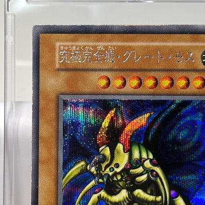 Great Moss DM2 Initial Secret card by Cycle Collection – Japanese collectible card stored in a dark place