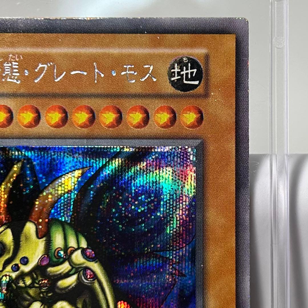 Great Moss DM2 Initial Secret card by Cycle Collection – Japanese collectible card stored in a dark place