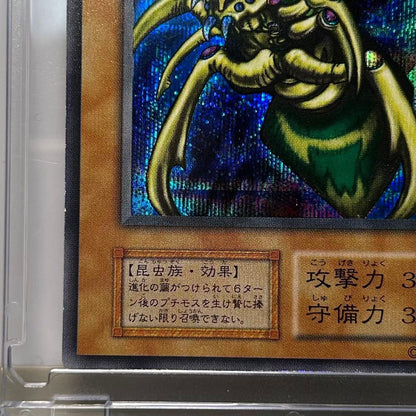 Great Moss DM2 Initial Secret card by Cycle Collection – Japanese collectible card stored in a dark place