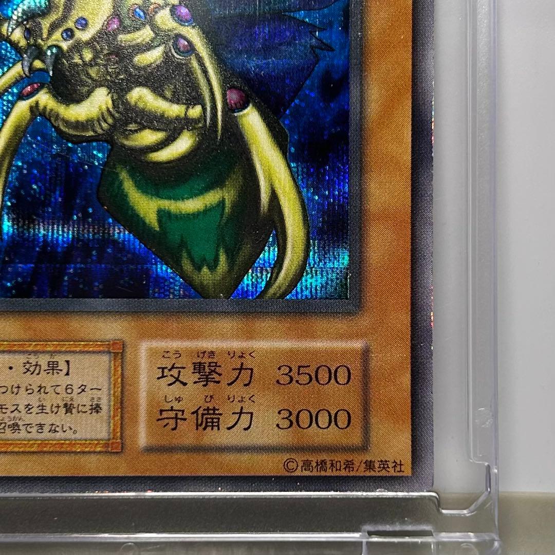 Great Moss DM2 Initial Secret card by Cycle Collection – Japanese collectible card stored in a dark place