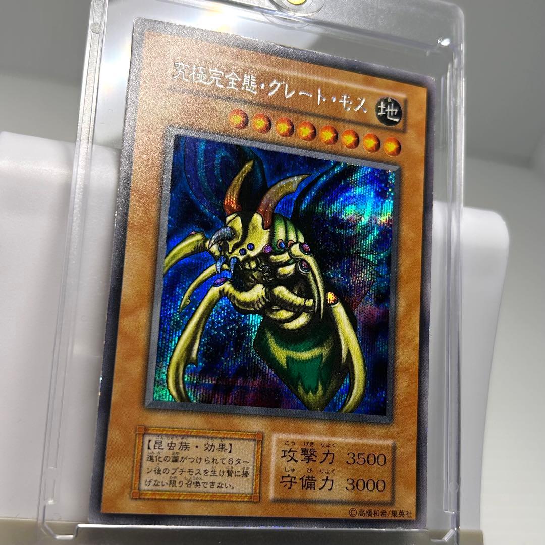 Great Moss DM2 Initial Secret card by Cycle Collection – Japanese collectible card stored in a dark place