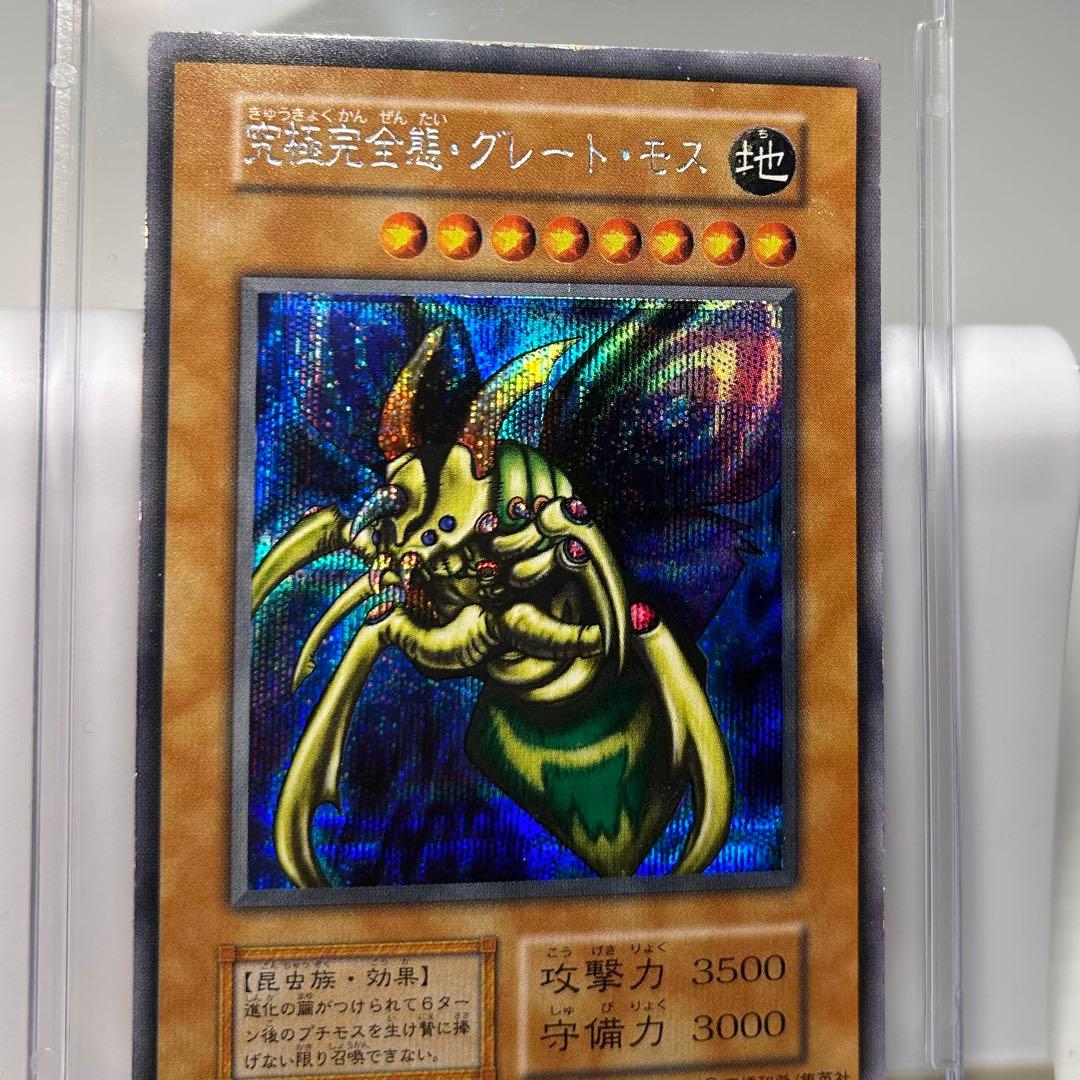 Great Moss DM2 Initial Secret card by Cycle Collection – Japanese collectible card stored in a dark place