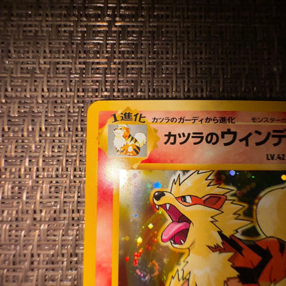 Pokemon trading card Katsura no Windy with old back design in collectible condition
