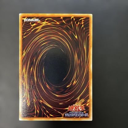 Yugi-Oh Harpie Girl Normal Parallel RDS-JP004 game card with 4-meter length, Japan import