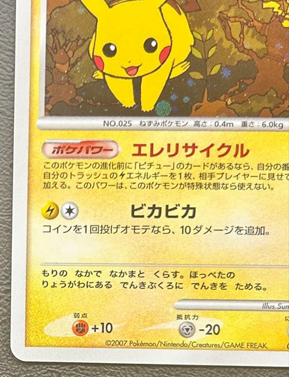 Pokémon Pikachu level 15 replacement card model 048/DP-P Japan import