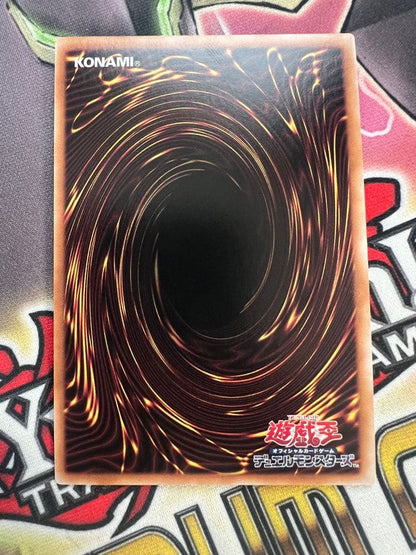 Yu-Gi-Oh Pride and Soul Dragon 25th Quarter Century Secret Rare trading card Japanese import