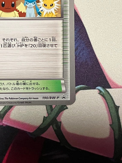 Pokemon Center Traindr's Stadium promotional card model 190/BW-P from Japan, Japanese language