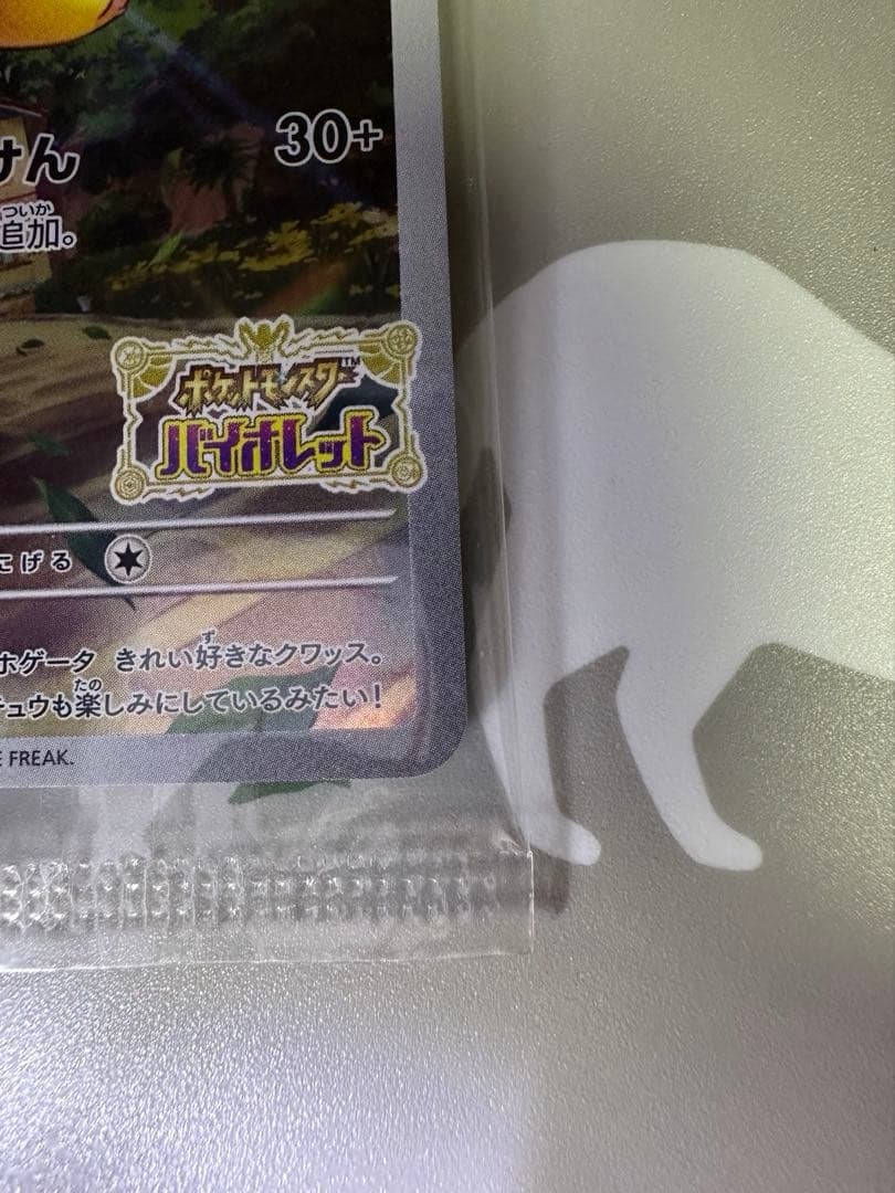Pokémon Pikachu Scarlet Violet promo card SV-P featuring Pikachu with 60 HP Electric type and Everyone's Attack