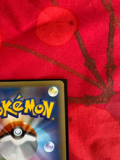 Pokemon Card Marry SR from Shiny Star V Series in protective sleeve and hard case