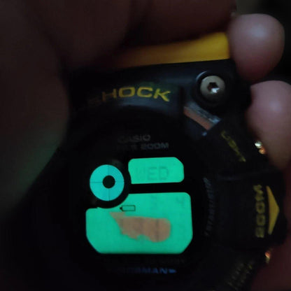 Casio G-Shock Frogman GW-204K Dolphin and Whale Model Watch Japan Import