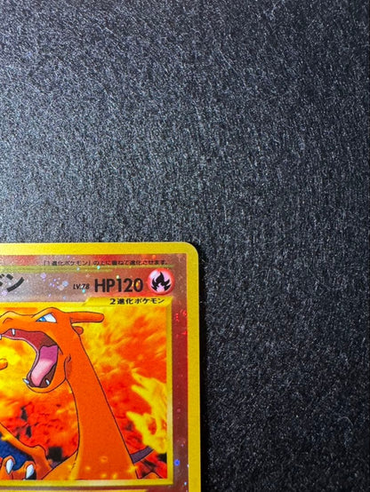Bandai Dragonite No.006 Premium File 2 collectible card from Japan import, displayed against white background